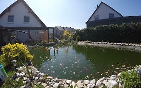 Moselie Ferienwohnung Kinheim Mosel