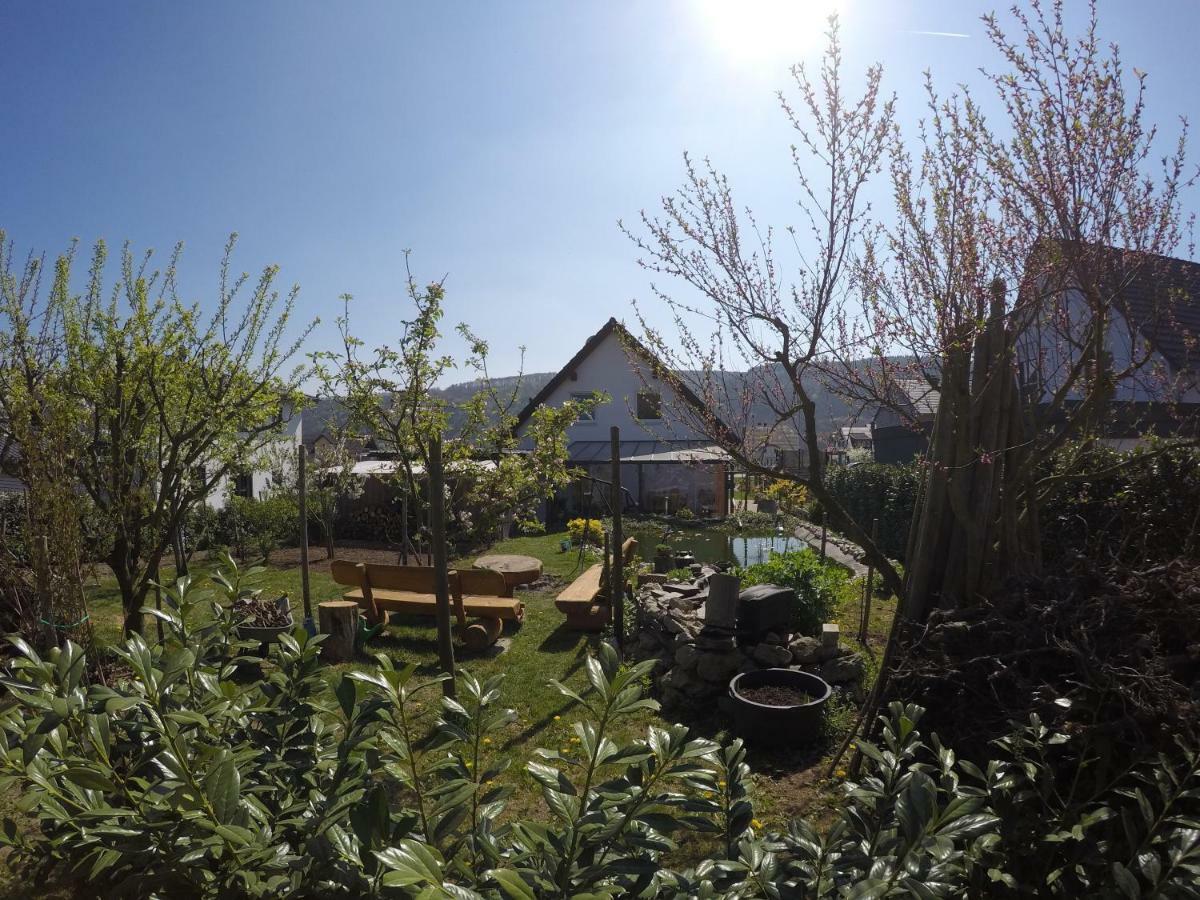 Moselie Ferienwohnung Kinheim Mosel Exterior foto